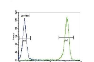 MC2R Antibody (C-term) (ABIN651731 and ABIN2840379) flow cytometric analysis of WiDr cells (right histogram) compared to a negative control cell (left histogram).