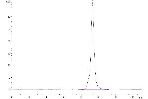 The purity of Human LAYN is greater than 95 % as determined by SEC-HPLC. (Layilin Protein (LAYN) (AA 22-235) (His tag))