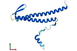 AlphaFold protein structure predicition of Human Recombinant PDRG1 Protein, UniprotID Q9NUG6
