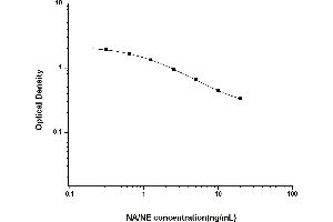 Typical standard curve (Noradrenaline/Norepinephrine Kit ELISA)