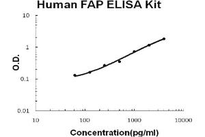 Human Seprase/FAP Accusignal ELISA Kit Human Seprase/FAP AccuSignal ELISA Kit standard curve. (Prolyl Endopeptidase FAP Kit ELISA)