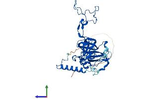 AlphaFold protein structure predicition of Human Recombinant MRPL3 Protein, UniprotID P09001