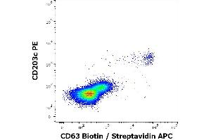 Flow cytometry multicolor surface staining of IgE stimulated peripheral blood mononuclear cells stained using anti-human CD63 (MEM-259) Biotin antibody (concentration in sample 0,6 μg/mL, Streptavidin APC) and anti-human CD203c (NP4D6) PE antibody (20 μL reagent / 100 μL of peripheral whole blood).