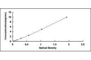 Typical standard curve