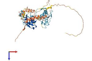 AlphaFold protein structure predicition of Mouse Recombinant Prdm12 Protein, UniprotID A2AJ77