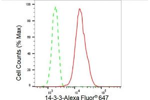 Flow cytometric analysis of 14-3-3 expression in HepG2 cells using 14-3-3 antibody (ABIN7797413), 1:2,000). (Recombinant 14-3-3 theta anticorps)