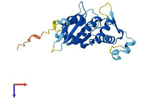 AlphaFold protein structure predicition of Mouse Recombinant Apobec1 Protein, UniprotID P51908