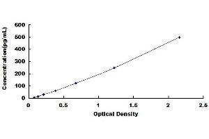 Typical standard curve