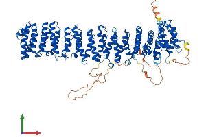 AlphaFold protein structure predicition of Human Recombinant VAC14 Protein, UniprotID Q08AM6
