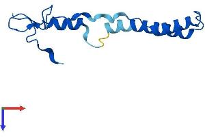 AlphaFold protein structure predicition of Human Recombinant CHCHD1 Protein, UniprotID Q96BP2