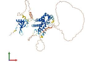 AlphaFold protein structure predicition of Mouse Recombinant Msl3 Protein, UniprotID Q9WVG9