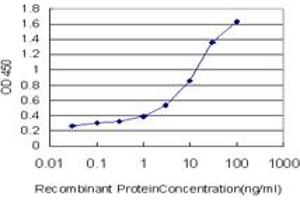 Detection limit for recombinant GST tagged FOXF2 is approximately 0. (FOXF2 anticorps  (AA 346-443))