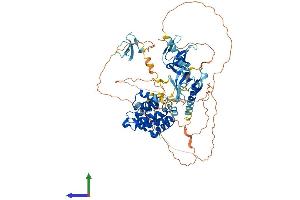 AlphaFold protein structure predicition of Human Recombinant ARHGAP9 Protein, UniprotID Q9BRR9
