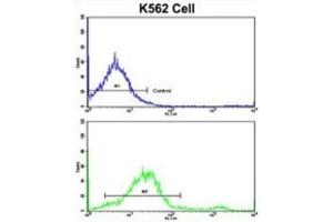 Flow Cytometry (FACS) image for anti-Lipin 2 (LPIN2) antibody (ABIN3003814)