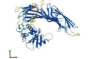 AlphaFold protein structure predicition of Human Recombinant AP4M1 Protein, UniprotID O00189