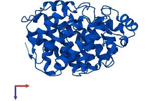 AlphaFold protein structure predicition of Human Recombinant ADPRH Protein, UniprotID P54922