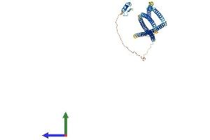 AlphaFold protein structure predicition of Human Recombinant TNIP2 Protein, UniprotID Q8NFZ5