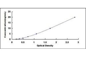 Typical standard curve (PDK4 Kit ELISA)