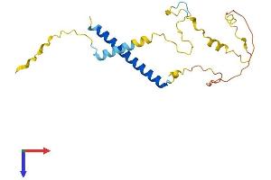 AlphaFold protein structure predicition of Human Recombinant MBD3L5 Protein, UniprotID A6NJ08