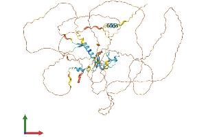 AlphaFold protein structure predicition of Human Recombinant ZNF185 Protein, UniprotID O15231