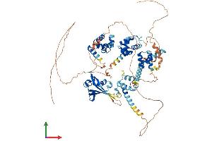 AlphaFold protein structure predicition of Human Recombinant SATB1 Protein, UniprotID Q01826