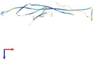 AlphaFold protein structure predicition of Human Recombinant RNF40 Protein, UniprotID O75150