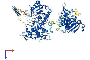 AlphaFold protein structure predicition of Mouse Recombinant Ext2 Protein, UniprotID P70428