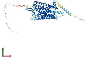 AlphaFold protein structure predicition of Mouse Recombinant Npy2r Protein, UniprotID P97295