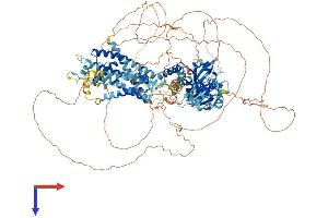 AlphaFold protein structure predicition of Mouse Recombinant Kcnh7 Protein, UniprotID Q9ER47