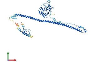 AlphaFold protein structure predicition of Human Recombinant TRIM62 Protein, UniprotID Q9BVG3