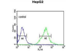 AFMID Antibody (N-term) flow cytometric analysis of HepG2 cells (right histogram) compared to a negative control cell (left histogram). (AFMID anticorps  (N-Term))