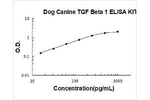 Dog TGF beta 1 PicoKine ELISA Kit standard curve