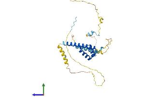 AlphaFold protein structure predicition of Human Recombinant LBX1 Protein, UniprotID P52954