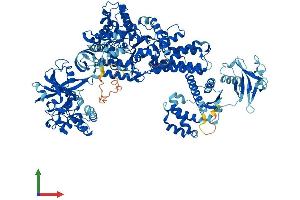 AlphaFold protein structure predicition of Mouse Recombinant Lars1 Protein, UniprotID Q8BMJ2