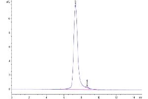 The purity of Cynomolgus CD30 is greater than 95 % as determined by SEC-HPLC.