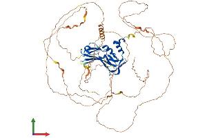 AlphaFold protein structure predicition of Human Recombinant EOMES Protein, UniprotID O95936