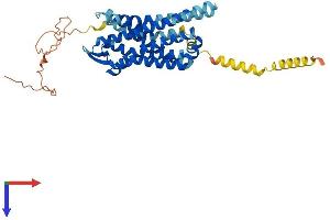 Opioid Receptor, mu 1 (OPRM1) (AA 1-398) protein (His tag)