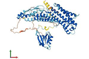 AlphaFold protein structure predicition of Human Recombinant RHPN2P1 Protein, UniprotID A8MT19