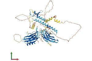 AlphaFold protein structure predicition of Human Recombinant SYTL4 Protein, UniprotID Q96C24