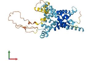 AlphaFold protein structure predicition of Human Recombinant SLC25A39 Protein, UniprotID Q9BZJ4