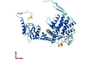 AlphaFold protein structure predicition of Human Recombinant MKKS Protein, UniprotID Q9NPJ1