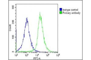 Overlay histogram showing HepG2 cells stained with (ABIN6243007 and ABIN6578664)(green line).