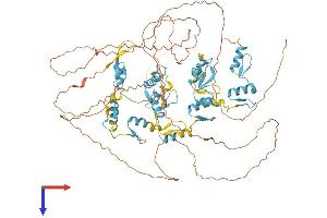 AlphaFold protein structure predicition of Human Recombinant ZFX Protein, UniprotID P17010
