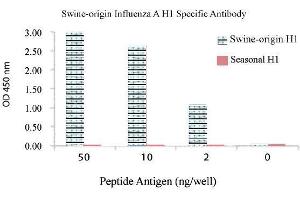 Image no. 1 for anti-Influenza A Virus H1N1 antibody  (ABIN356430) (Influenza A Virus H1N1 anticorps )