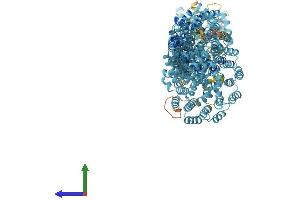 AlphaFold protein structure predicition of Mouse Recombinant Ttc21a Protein, UniprotID Q8C0S4