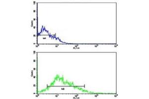 Flow cytometric analysis of HL-60 cells using LIN28B antibody (green) compared to a negative control (blue).