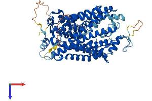 AlphaFold protein structure predicition of Human Recombinant SLC6A13 Protein, UniprotID Q9NSD5