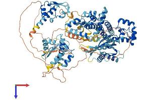AlphaFold protein structure predicition of Mouse Recombinant Gtf2ird2 Protein, UniprotID Q99NI3
