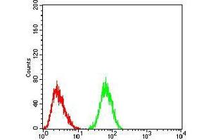 Flow cytometric analysis of HeLa cells using CK5 mouse mAb (green) and negative control (red).