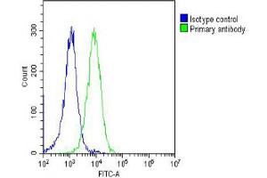 Overlay histogram showing Hela cells stained with (ABIN6242990 and ABIN6578671) (green line).